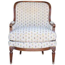 Late 19th Century Louis XVI Bergere Chair