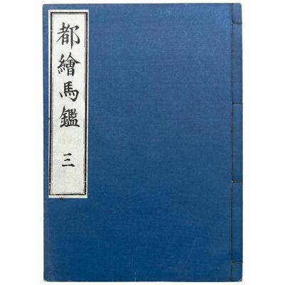Antique Japanese Ehon Book Meiji Era