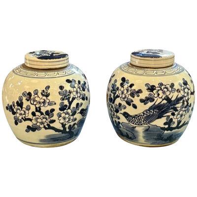 Pair of Early 20th Century Chinese Blue and White Ginger Jars