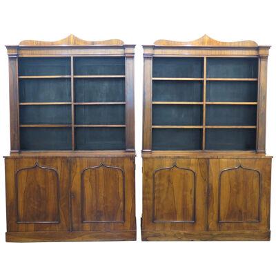 Pair of English Regency Rosewood Bookcases 