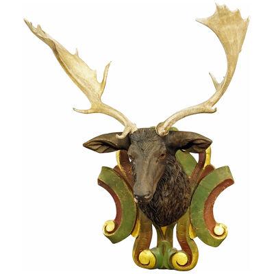 Huge Black Forest Carved Fallow Deer Head with Large Antlers ca. 1890 
