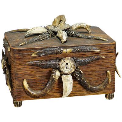 Wooden Black Forest Casket with Antlers Decoration circa 1900s 