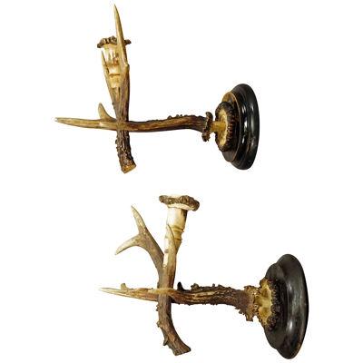 A Pair Black Forest Wall Sconces with Deer Horns, Germany ca. 1900 