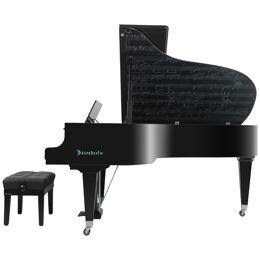 Bösendorfer Beethoven 2020 Edition Grand Piano