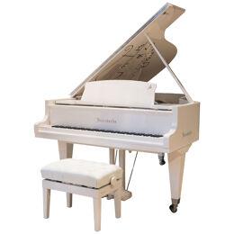 Bösendorfer Cocteau Grand Piano