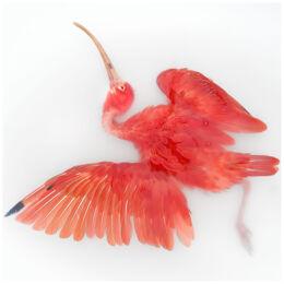 Art Print 'Unkown Pose by Scarlet Ibis' by Sinke & Van Tongeren 90x113 cm