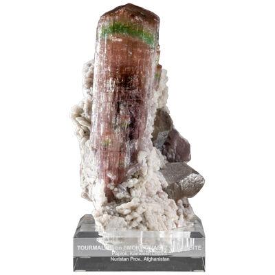 Waterlemon Tourmaline with Smoky Quartz and Albite from Afghanistan