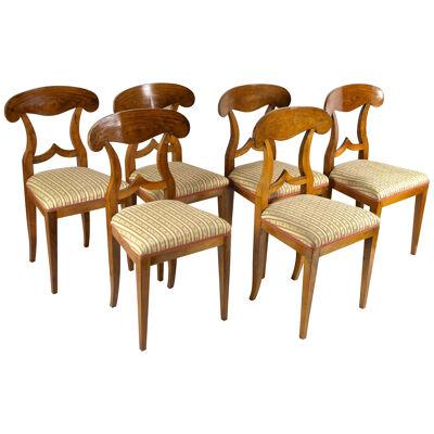 Set Of 6 Biedermeier Nutwood Shovel Dining Chairs, 19th Century, AT ca. 1830