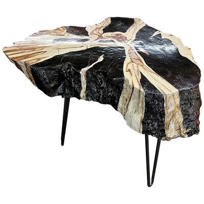 Teak Root Side Table - Petrified Wood Style, Handpainted By Artist - IDN 2023