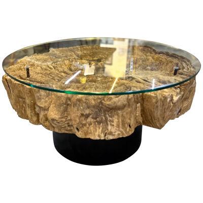 Modern Organic Driftwood Sofa/ Coffee Table With Glass Top On Black Steel Base