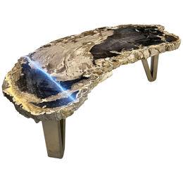 Contemporary Petrified Wood Coffee Table With Stainless Steel Feet, 2023