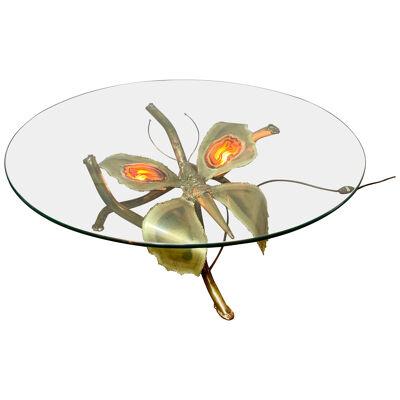 Jacques Duval Brasseur Illuminated Butterfly Coffee Table