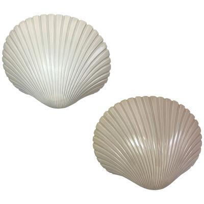 A pair of shell wall lamps by André Cazenave France 1970s
