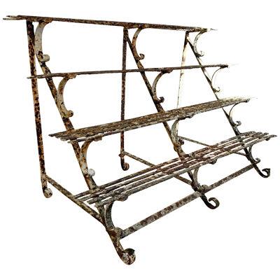 Late Regency Wrought Iron Plant Stand