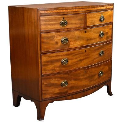 Regency Mahogany Bow Front Chest Drawers