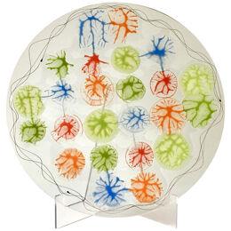 An Abstract Coral Circular Fused Studio Glass Plate by Higgins 
