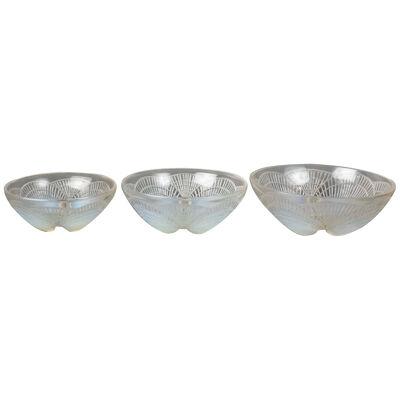 1924 René Lalique - Set Of Three Bowls Coquilles Opalescent Glass