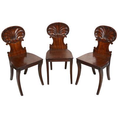 Set of 3 Regency Gillows, Shell back hall chairs, 19th Century
