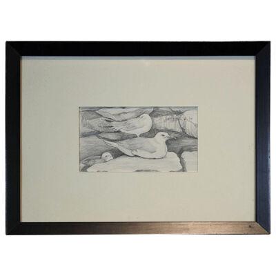 Stella Sullivan Realism Pencil Study of Seagulls Framed 1973