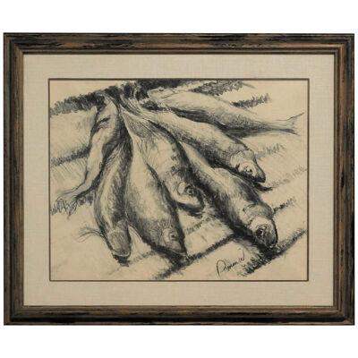 Dommiel Black and White Realistic Graphite Still Life Drawing of Fish 20th C