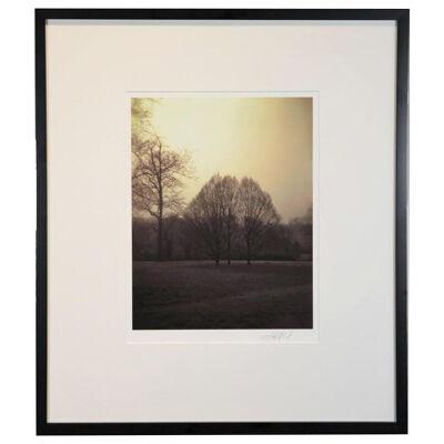 Contemporary Landscape Photograph with Trees 21st Century