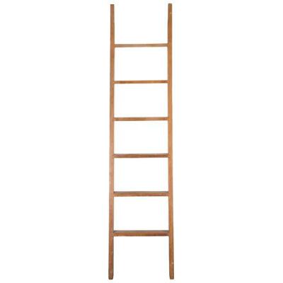 20th Century Library Ladder