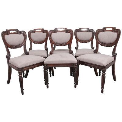 A set of six Anglo Indian rosewood dining chairs